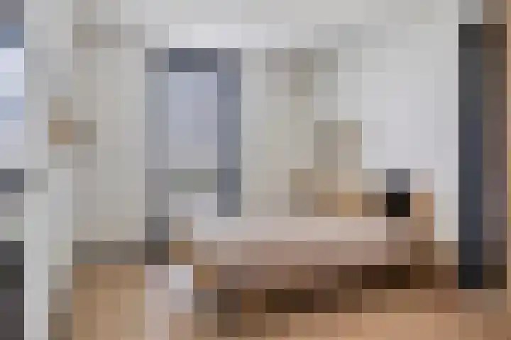 Zilverschat 45 Cuijk thumbnail 22