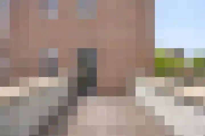 Zilverschat 45 Cuijk thumbnail 25
