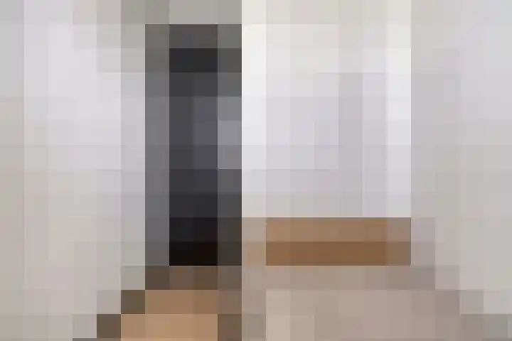 Zilverschat 45 Cuijk thumbnail 28