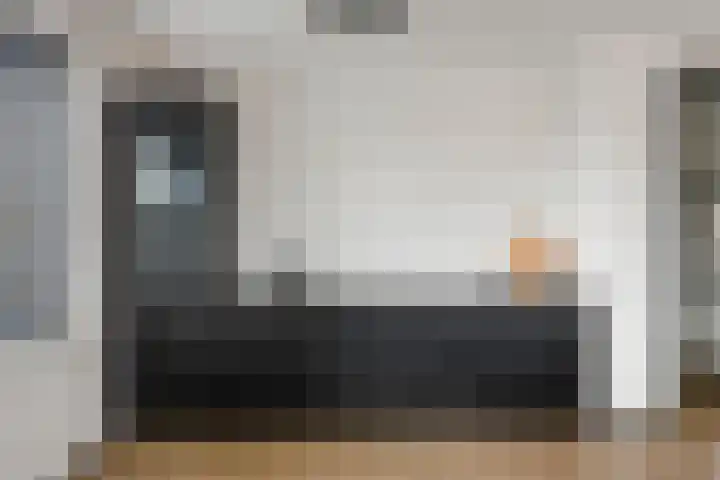 Zilverschat 45 Cuijk foto 3