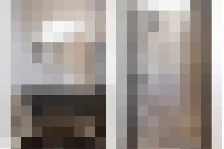 Zilverschat 45 Cuijk thumbnail 30