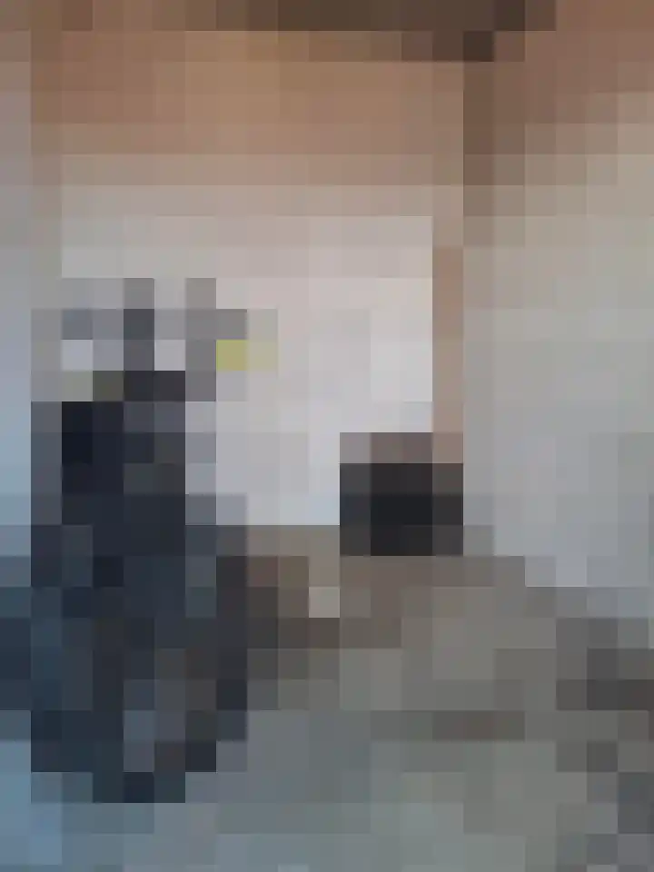 Zilverschat 45 Cuijk thumbnail 31