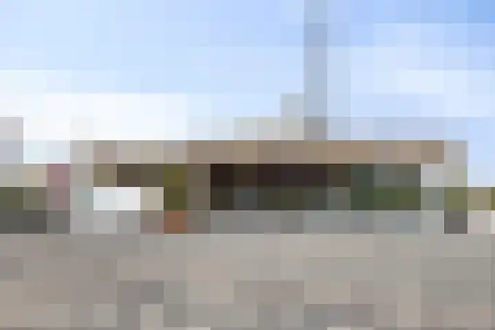 Zilverschat 45 Cuijk thumbnail 32