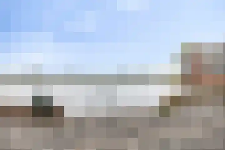 Zilverschat 45 Cuijk thumbnail 33