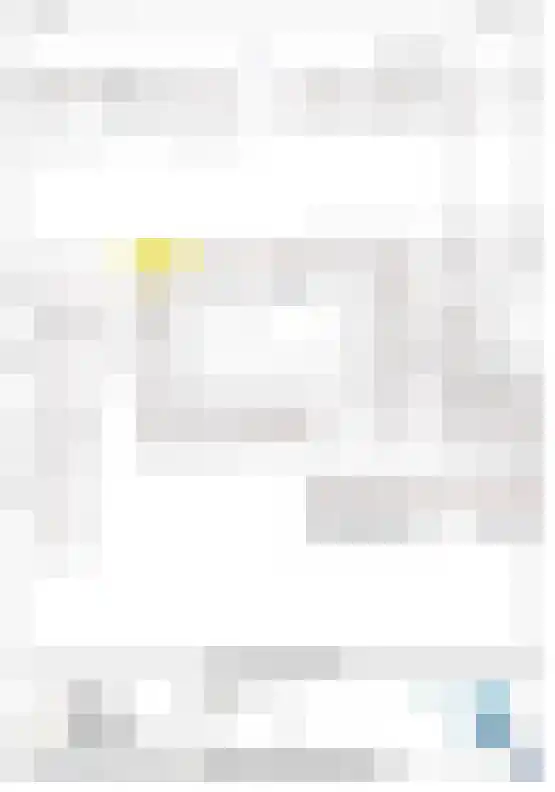 Zilverschat 45 Cuijk thumbnail 37