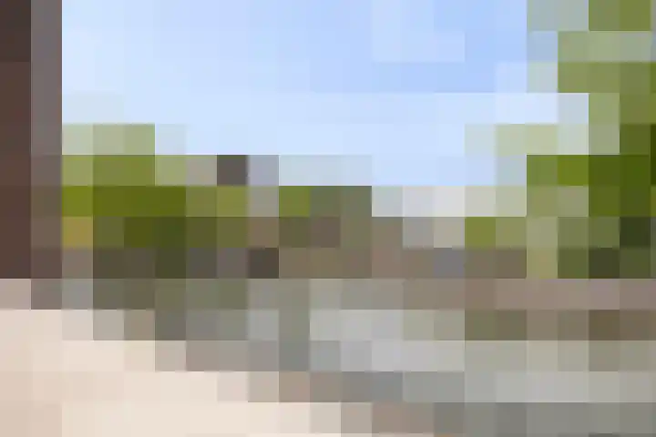 Zilverschat 45 Cuijk thumbnail 4
