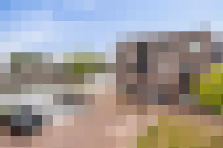 Zilverschat 45 Cuijk thumbnail 5