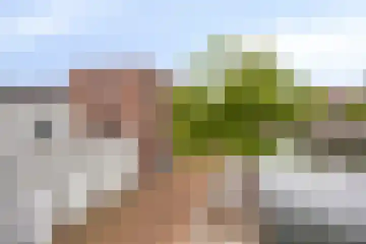 Zilverschat 45 Cuijk thumbnail 6