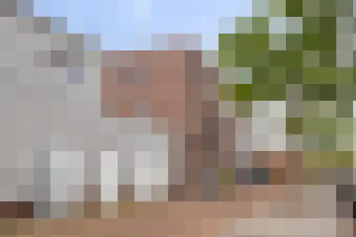 Zilverschat 45 Cuijk thumbnail 7