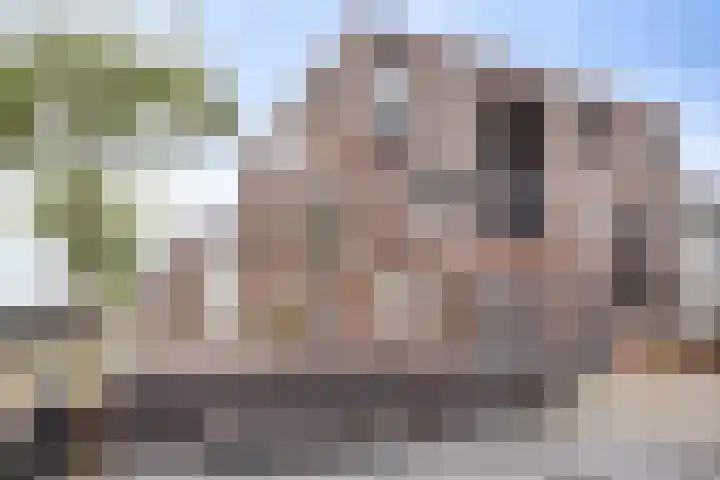 Zilverschat 45 Cuijk thumbnail 8