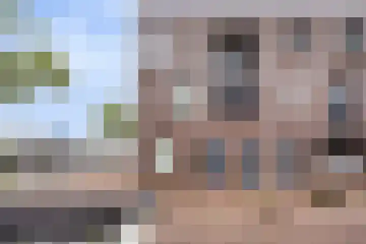 Zilverschat 45 Cuijk thumbnail 9