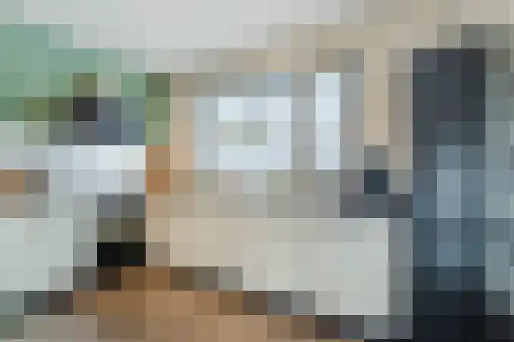 Zilverschat 49 Cuijk thumbnail 10