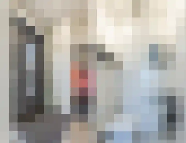 Zilverschat 49 Cuijk thumbnail 11