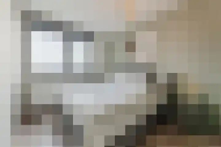 Zilverschat 49 Cuijk thumbnail 12