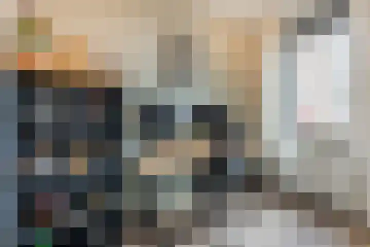 Zilverschat 49 Cuijk thumbnail 13