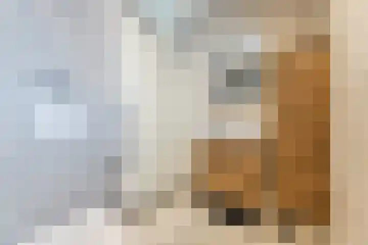 Zilverschat 49 Cuijk thumbnail 15