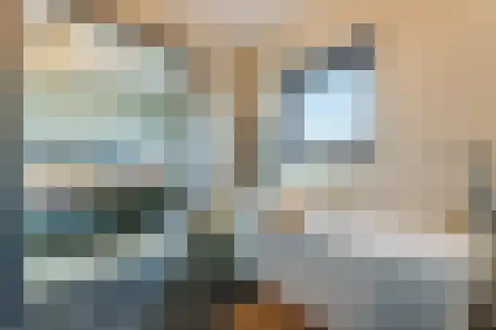 Zilverschat 49 Cuijk thumbnail 20