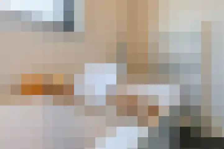 Zilverschat 49 Cuijk thumbnail 22