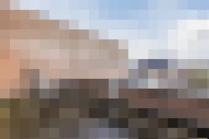 Zilverschat 49 Cuijk thumbnail 23