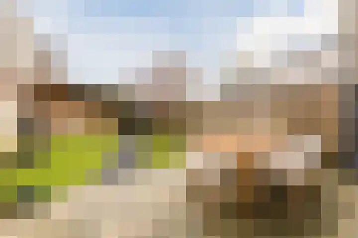Zilverschat 49 Cuijk thumbnail 24