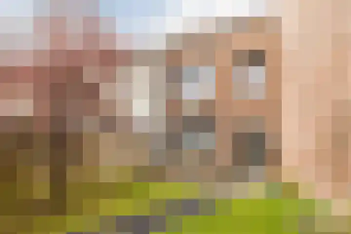Zilverschat 49 Cuijk thumbnail 25