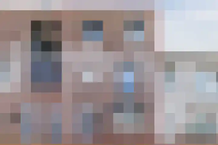 Zilverschat 49 Cuijk thumbnail 26