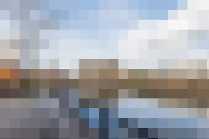 Zilverschat 49 Cuijk thumbnail 27