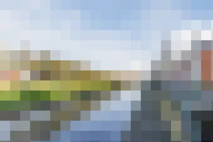 Zilverschat 49 Cuijk thumbnail 28