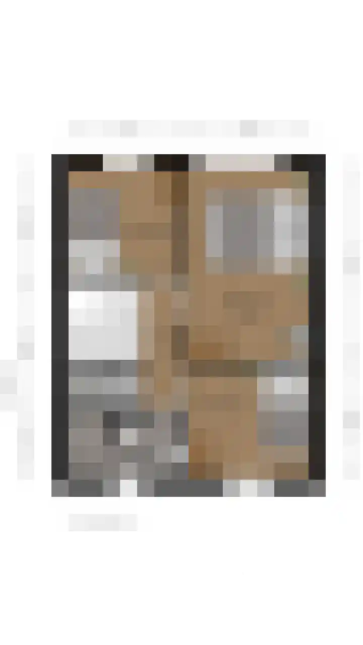 Zilverschat 49 Cuijk thumbnail 30