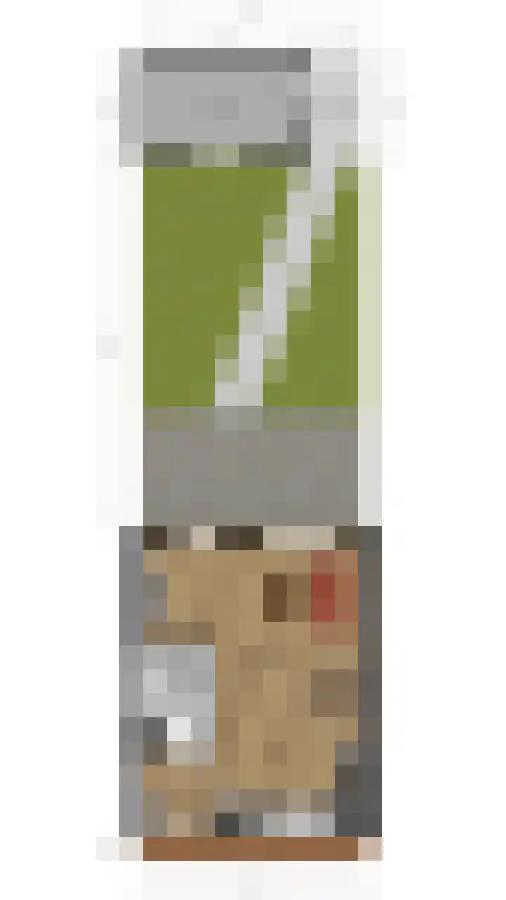 Zilverschat 49 Cuijk thumbnail 31