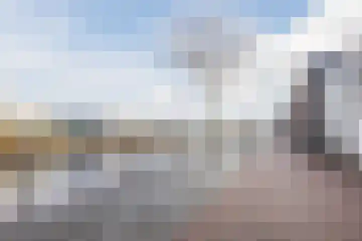 Zilverschat 49 Cuijk thumbnail 5