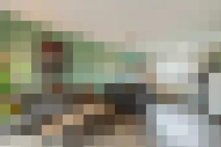 Zilverschat 49 Cuijk thumbnail 6