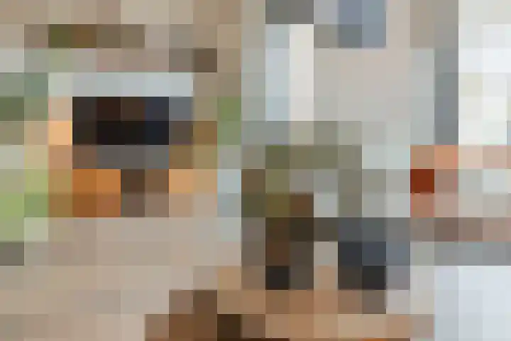 Zilverschat 49 Cuijk thumbnail 7