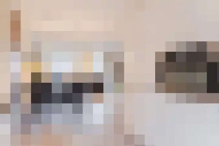 Zilverschat 8 Cuijk thumbnail 12
