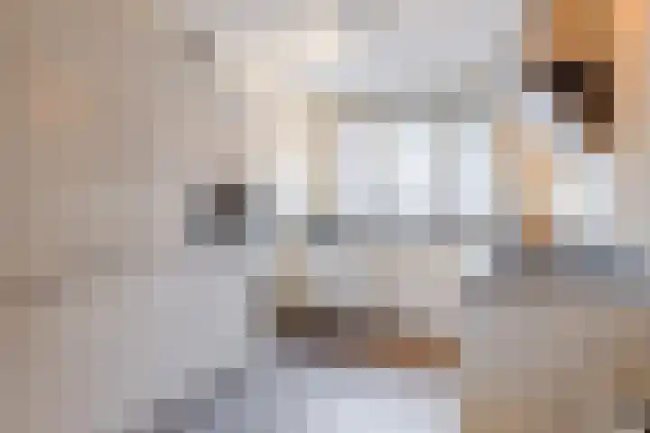 Zilverschat 8 Cuijk thumbnail 13
