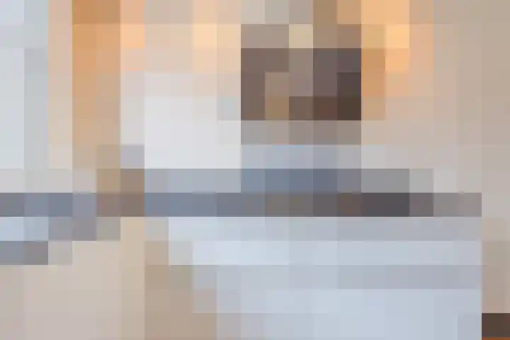 Zilverschat 8 Cuijk thumbnail 14