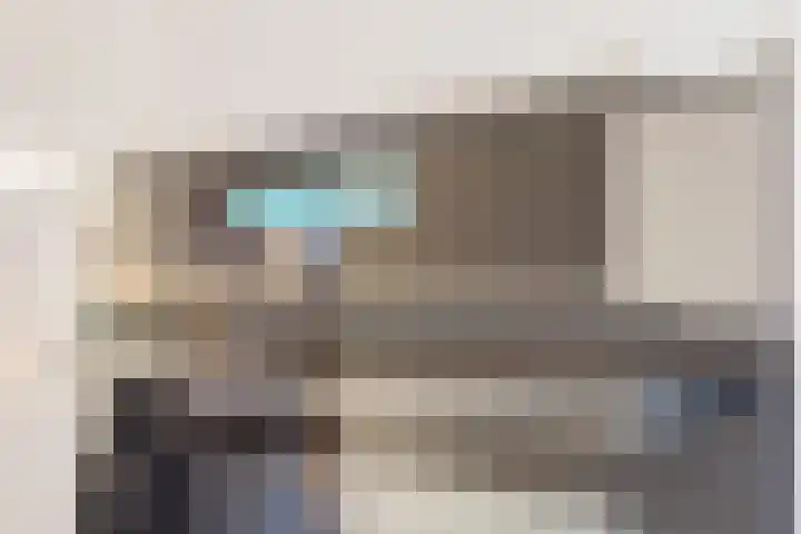 Zilverschat 8 Cuijk thumbnail 15