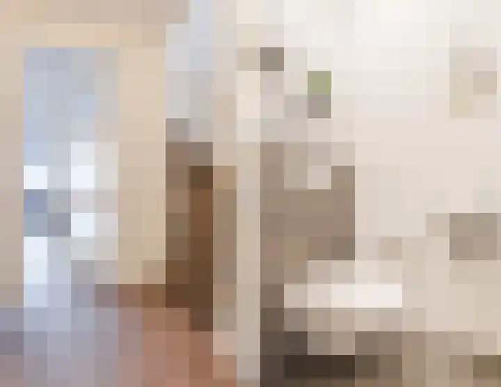 Zilverschat 8 Cuijk thumbnail 16