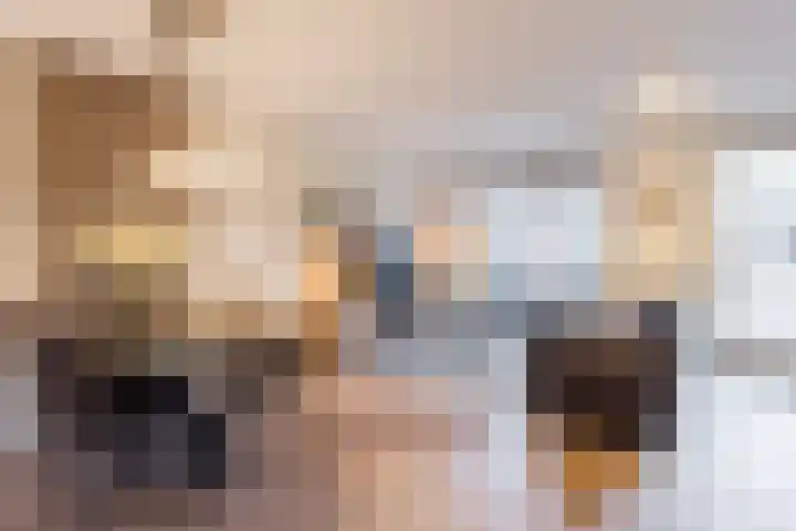 Zilverschat 8 Cuijk foto 2