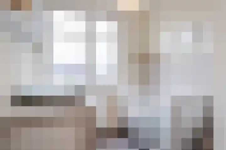 Zilverschat 8 Cuijk thumbnail 22