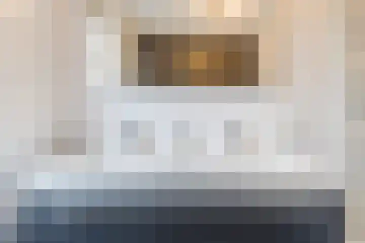 Zilverschat 8 Cuijk thumbnail 24