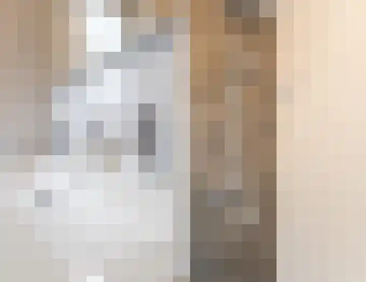Zilverschat 8 Cuijk thumbnail 26