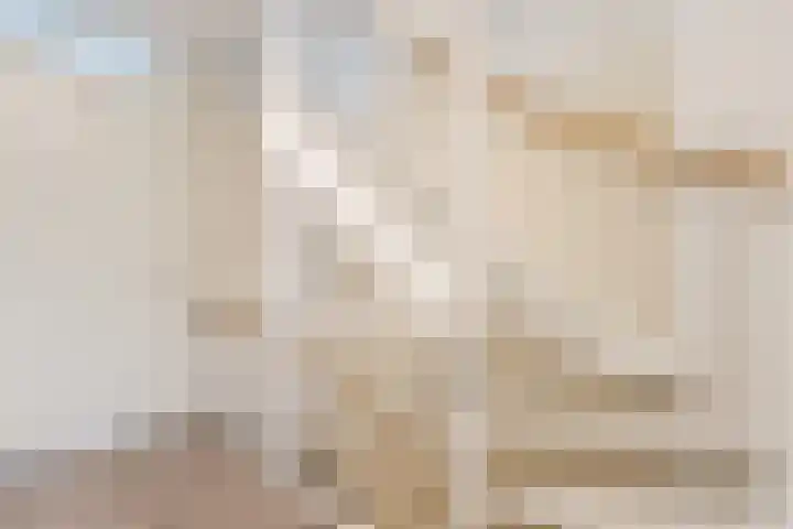 Zilverschat 8 Cuijk thumbnail 27