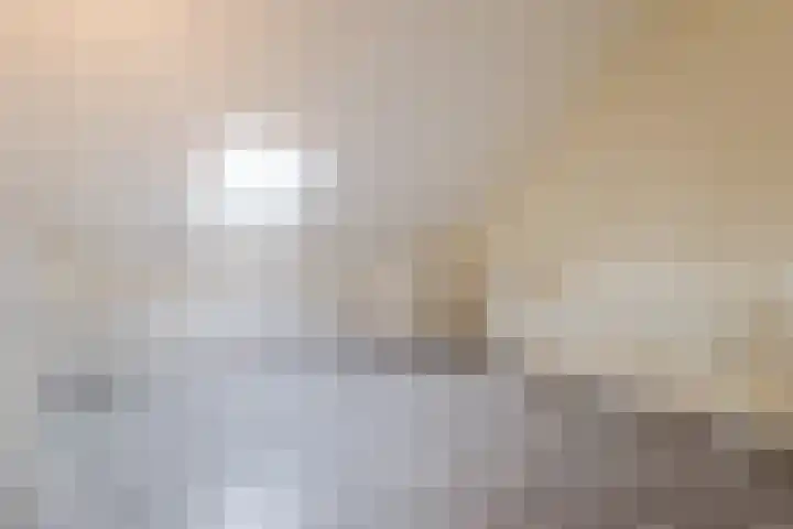 Zilverschat 8 Cuijk thumbnail 28