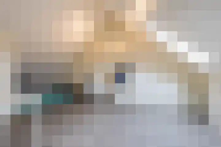 Zilverschat 8 Cuijk thumbnail 29