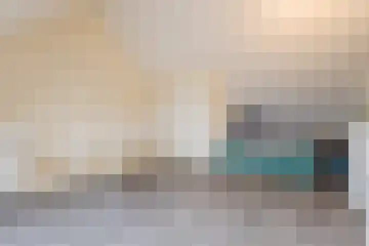 Zilverschat 8 Cuijk thumbnail 30