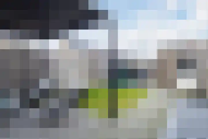 Zilverschat 8 Cuijk thumbnail 32