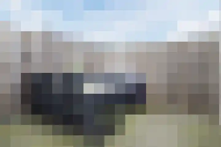 Zilverschat 8 Cuijk thumbnail 33