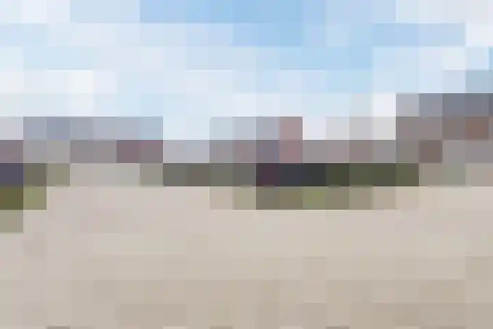 Zilverschat 8 Cuijk thumbnail 35