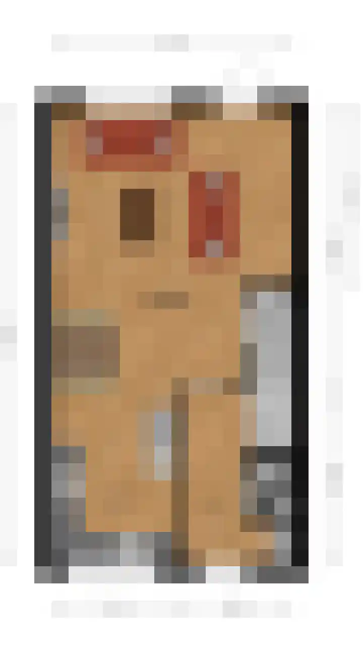 Zilverschat 8 Cuijk thumbnail 38